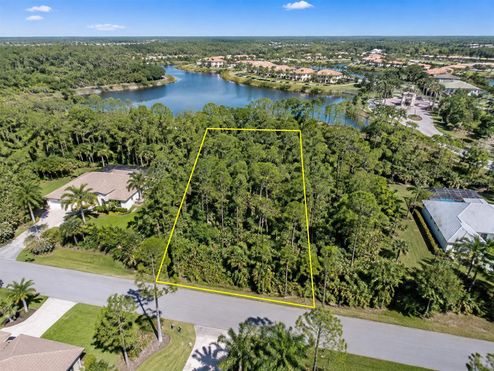 Aerial MLS-style photo of a wooded lot with a yellow parcel outline